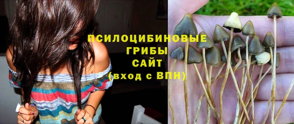 хмурый Заводоуковск