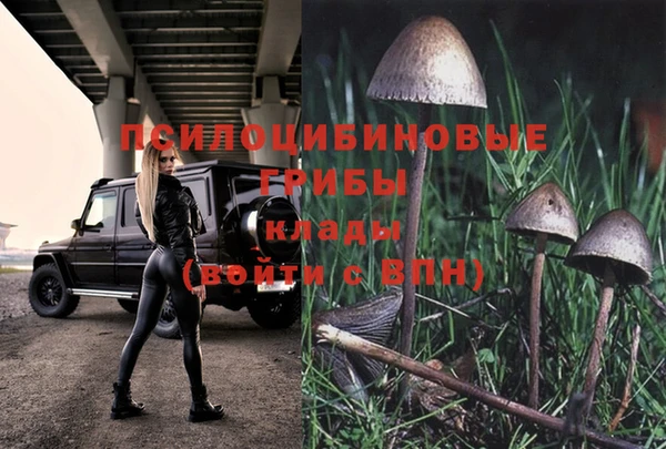 мяу мяу мука Зеленокумск