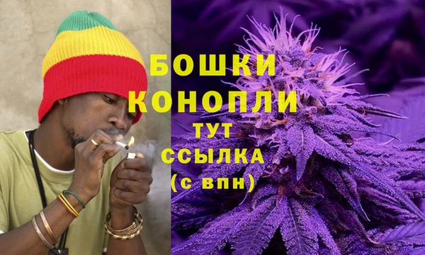 хмурый Заводоуковск