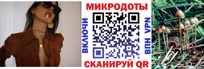 Купить  Жердевка  Галлюциногенные грибы Cubensis 